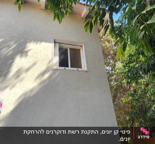 חלון עם רשת למניעת כניסת יונים